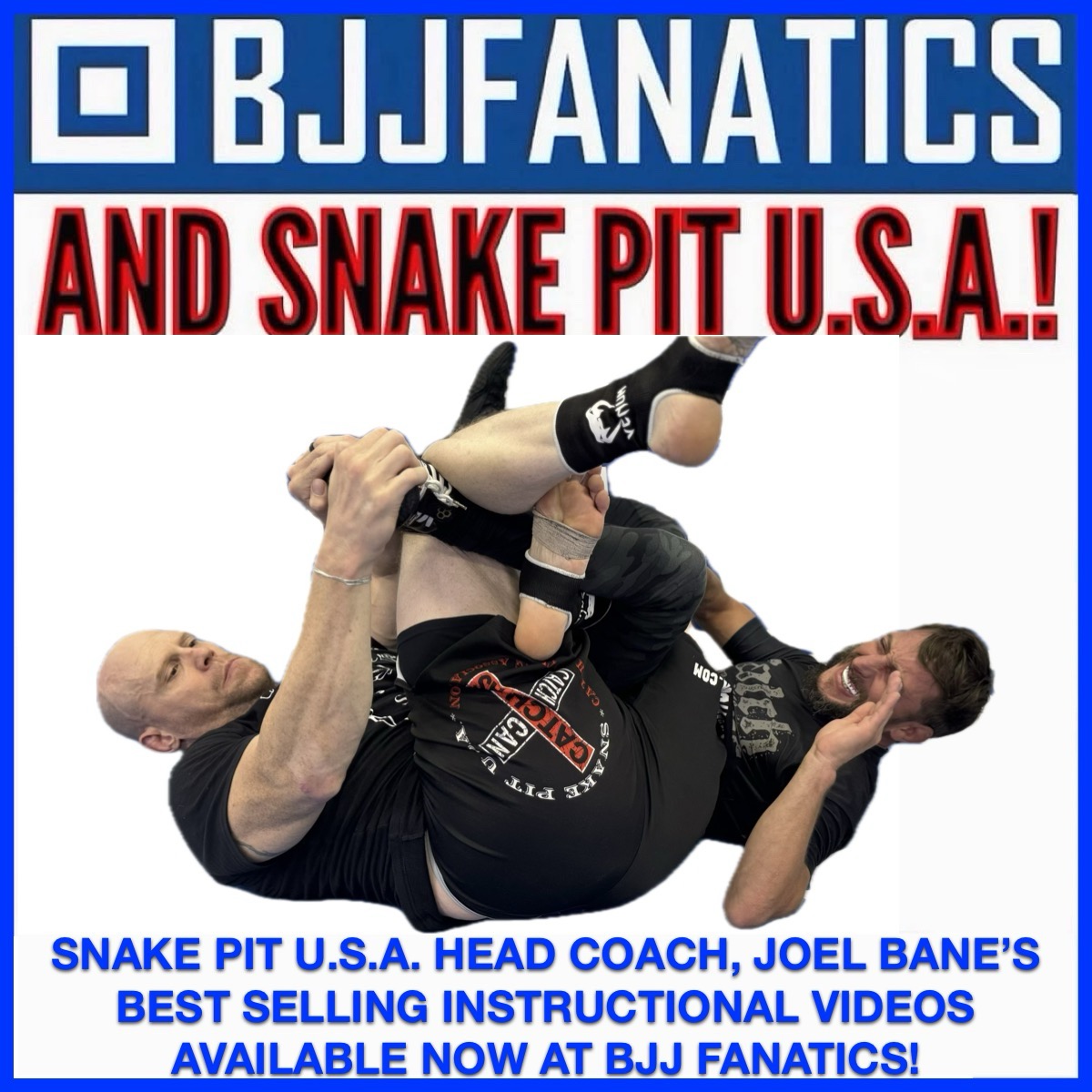 BJJFANATICS